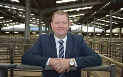Sensible steps critical for lower carbon farming