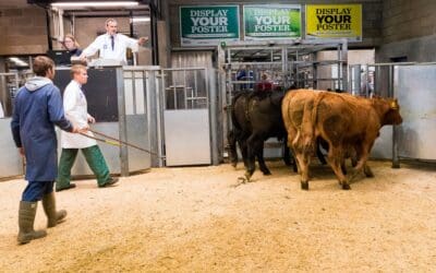 Marts seek “key worker” designation
