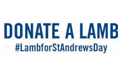 Lamb for St Andrew’s Day ‘Lamb Bank’ for Scottish schools announced by Scotland’s Livestock Auctioneers