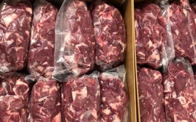 IAAS Lamb Bank open for business again