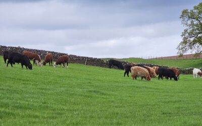 IAAS responds to Climate Change Committee report